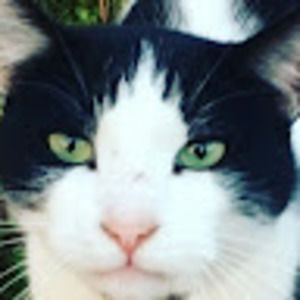 Meet your Posher, Jackie